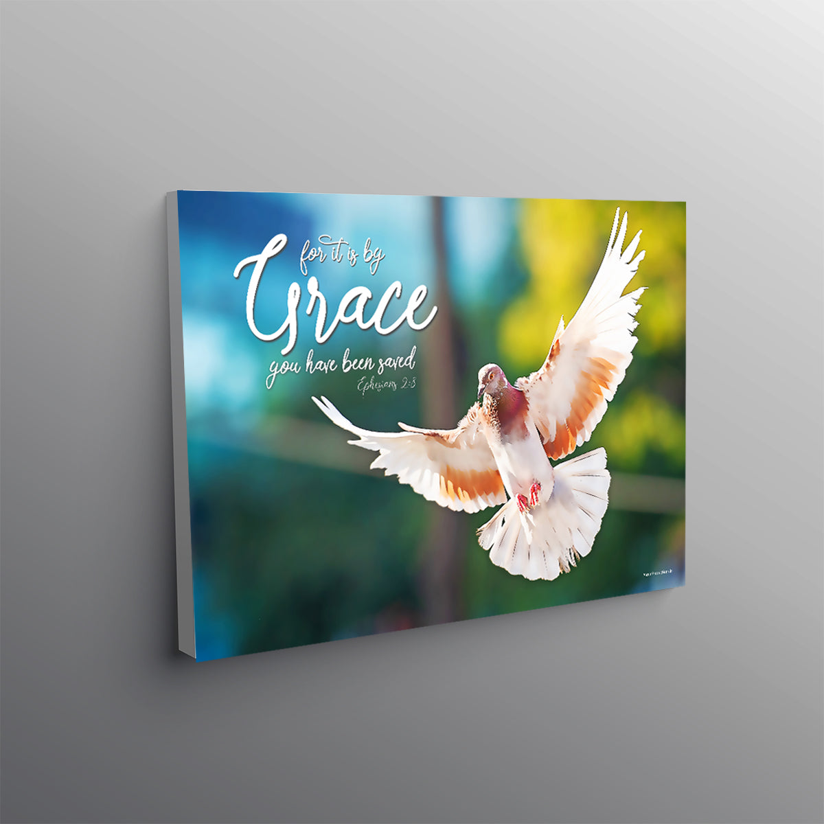 Canvas - For by Grace we have been saved